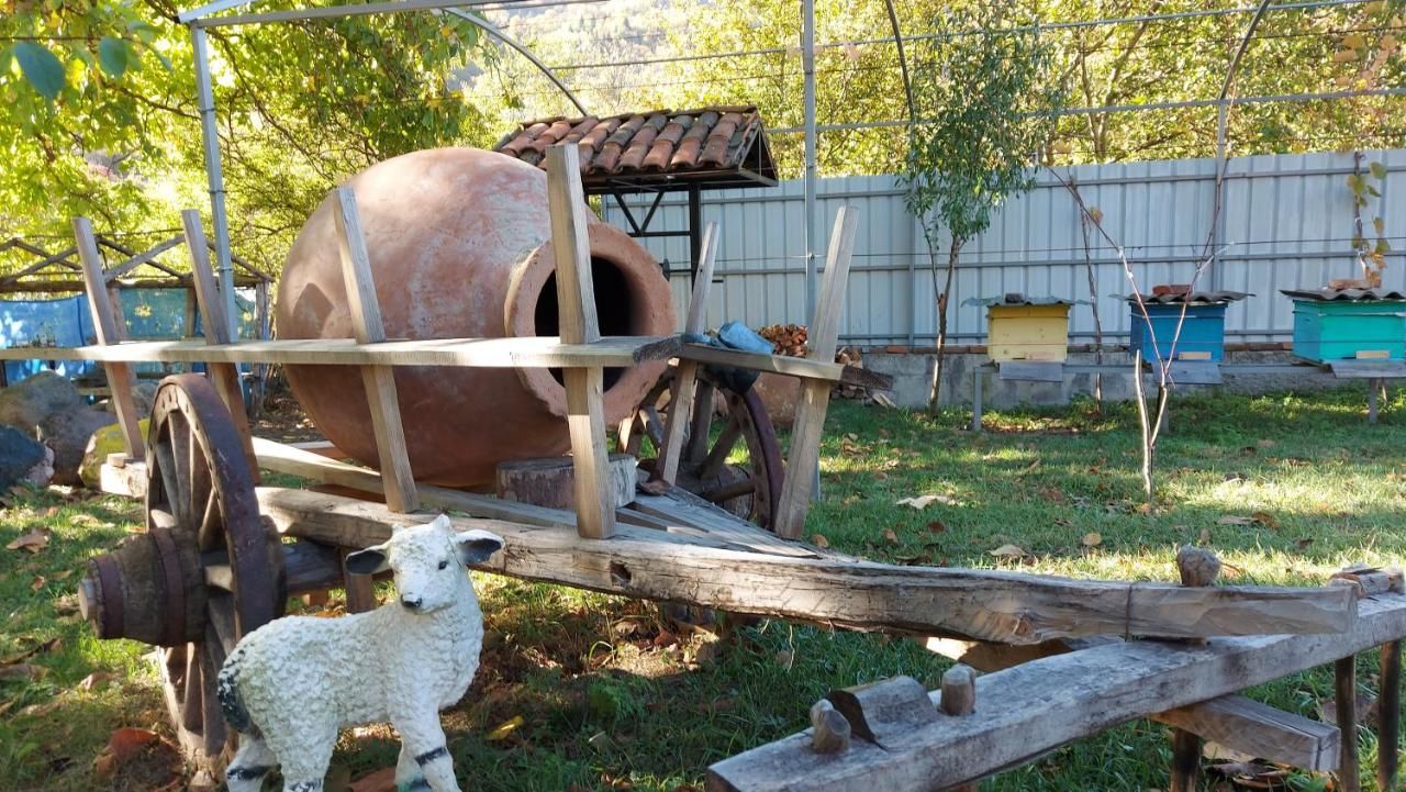 Гостевой дом Family hotel in Imerkhevi Imerkhevi-15