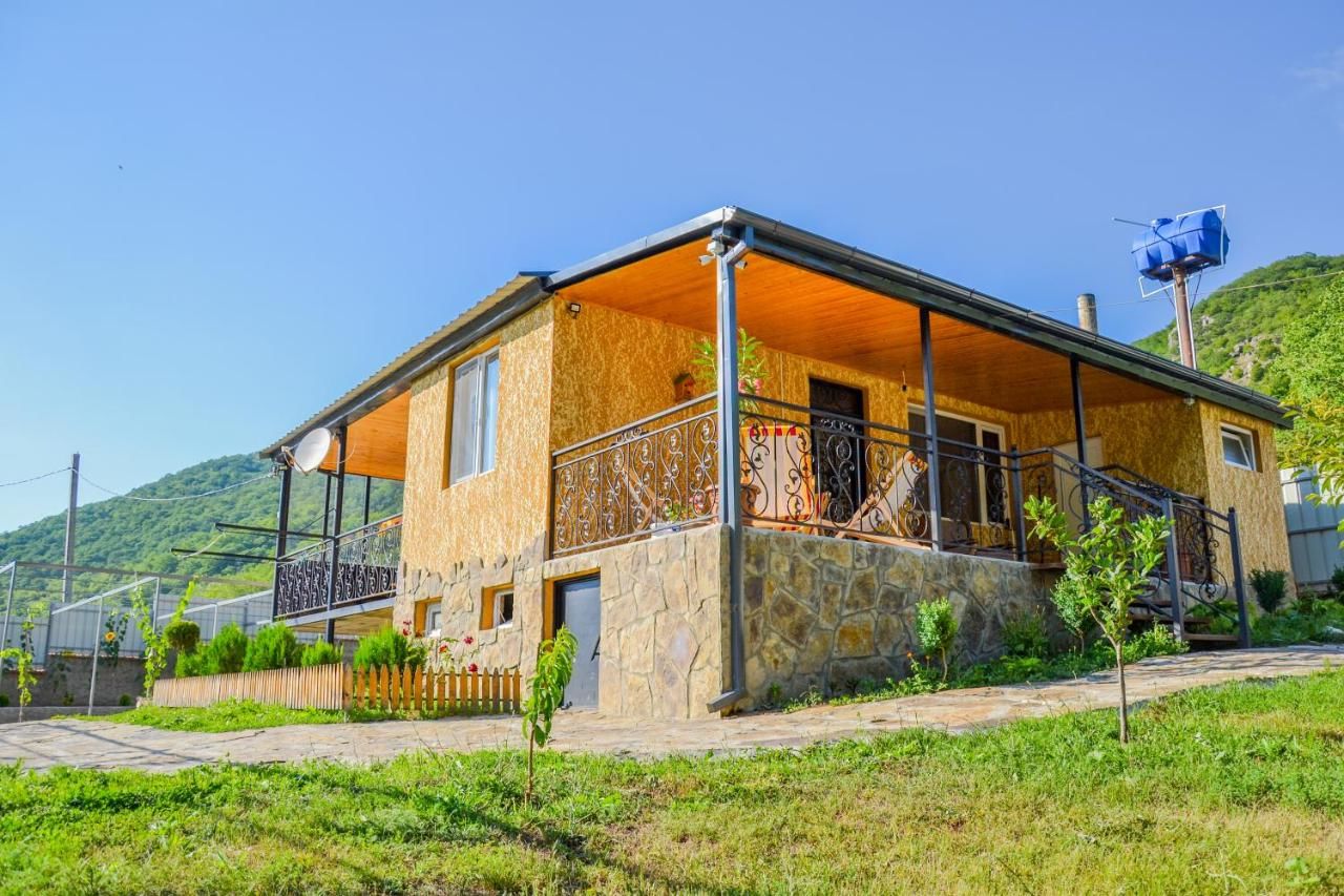 Гостевой дом Family hotel in Imerkhevi Imerkhevi-17