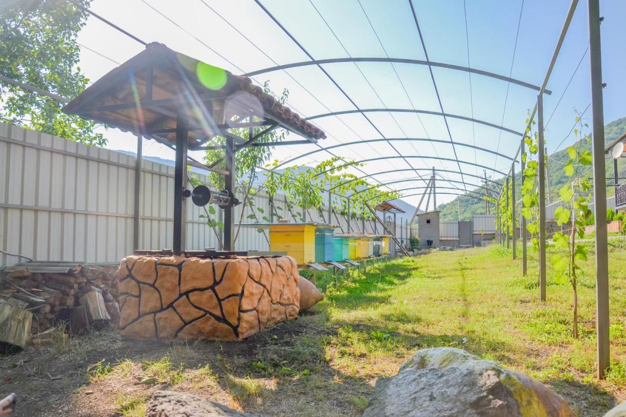 Гостевой дом Family hotel in Imerkhevi Imerkhevi-18