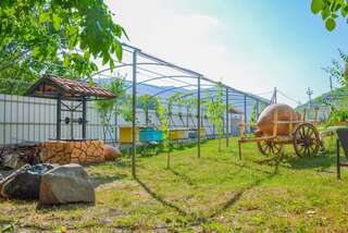 Гостевой дом Family hotel in Imerkhevi Imerkhevi-2