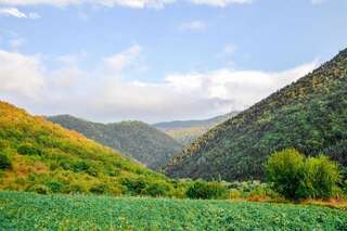 Гостевой дом Family hotel in Imerkhevi Imerkhevi-5